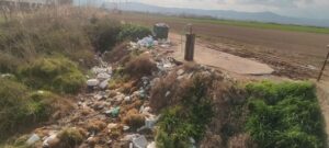 ΔΗΜΗΤΡΙΤΣΙ 2